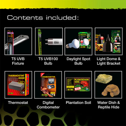 Crested Gecko Starter Kit