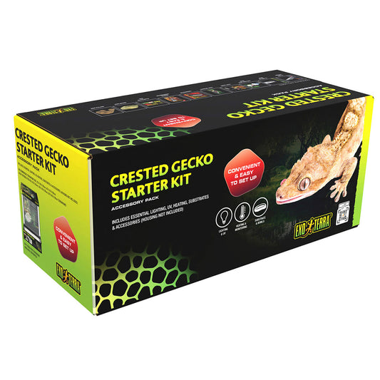 Crested Gecko Starter Kit
