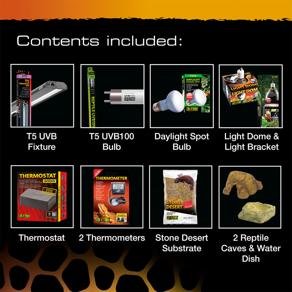 Leopard Gecko Starter Kit - Terrarium