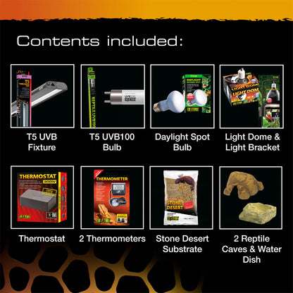 Leopard Gecko Starter Kit - Terrarium
