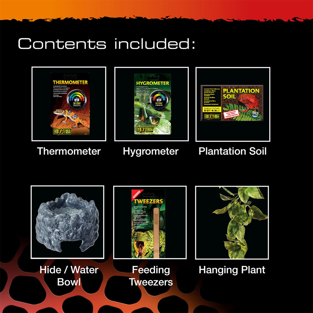 Spider & Invert Starter Kit