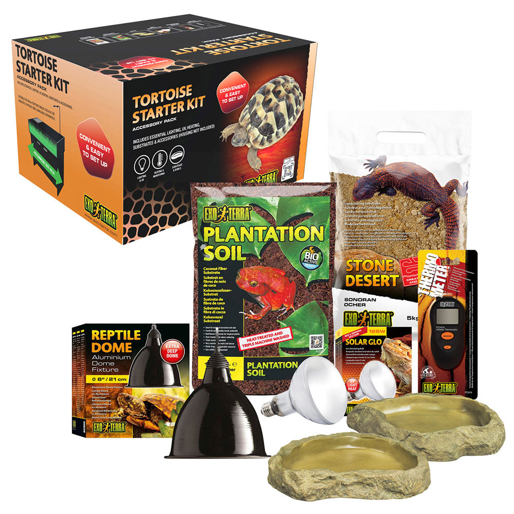 Tortoise Starter Kit