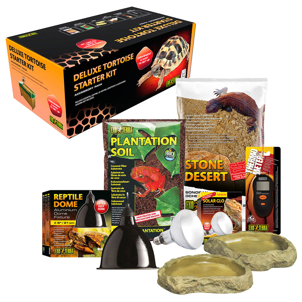 Deluxe Tortoise Starter Kit