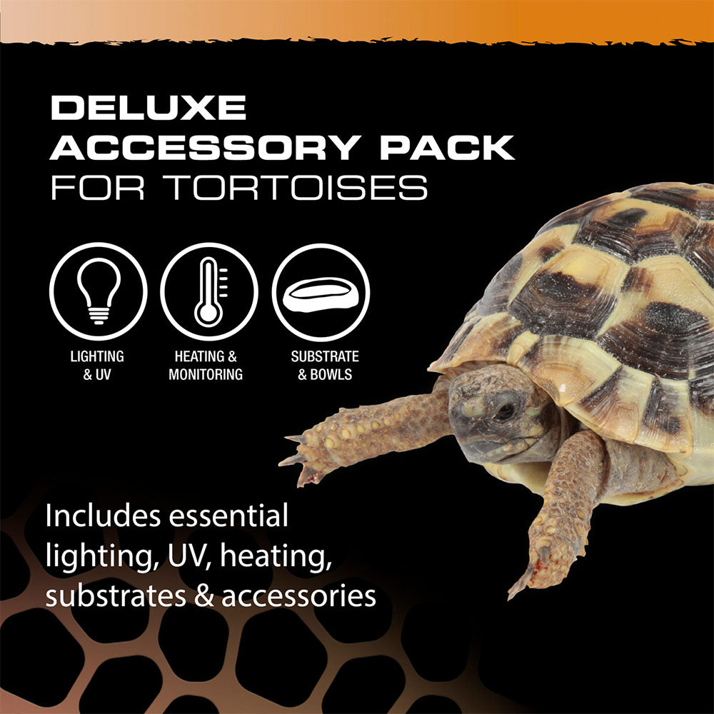 Deluxe Tortoise Starter Kit