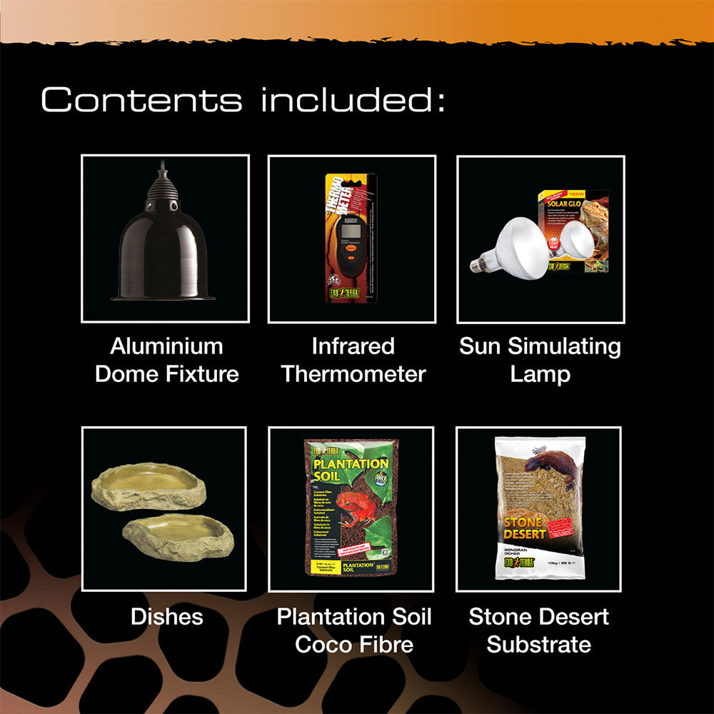 Deluxe Tortoise Starter Kit