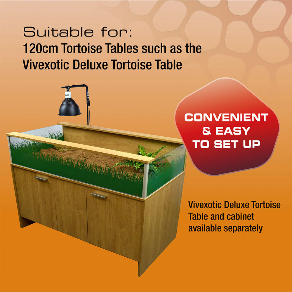 Deluxe Tortoise Starter Kit
