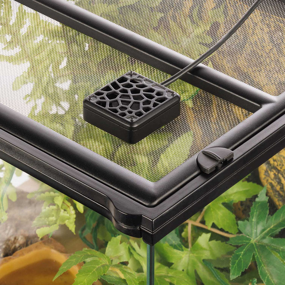 Terrarium Mini Fan
