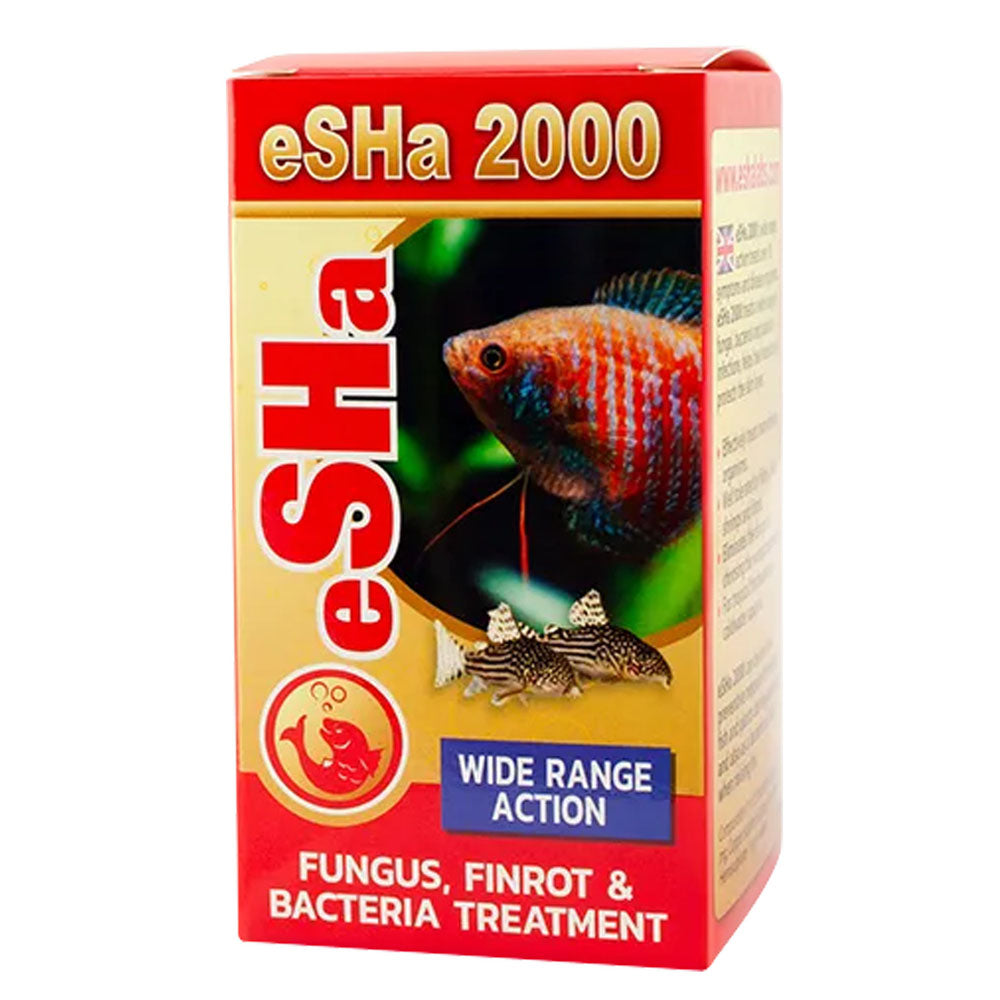 2000 Fungus Finrot & Bacteria Treatment