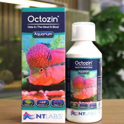 NT Labs Aquarium Octozin 250ml