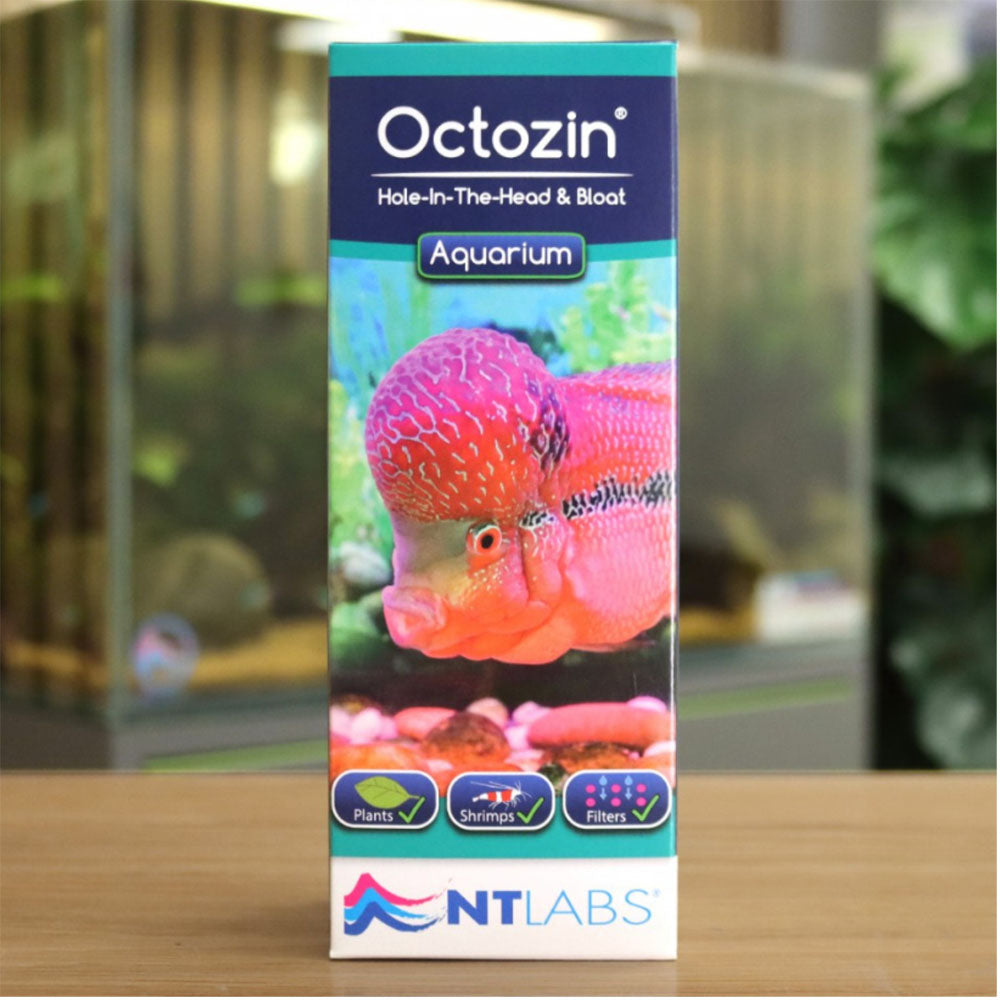 Aquarium Octozin 250ml