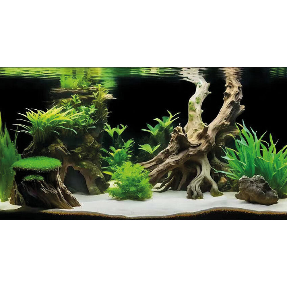 SuperFish Deco Poster Aquarium Background G