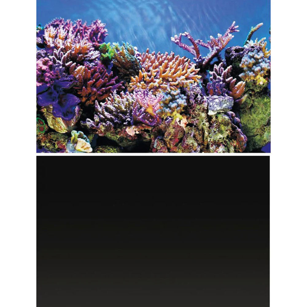 Deco Poster Aquarium Background A