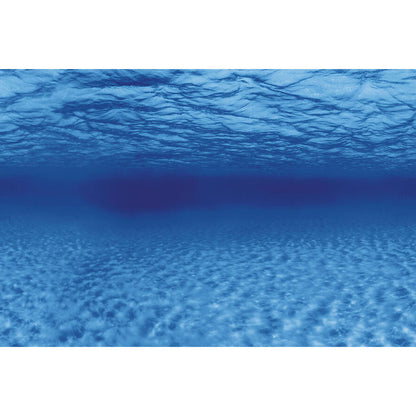 SuperFish Deco Poster Aquarium Background F