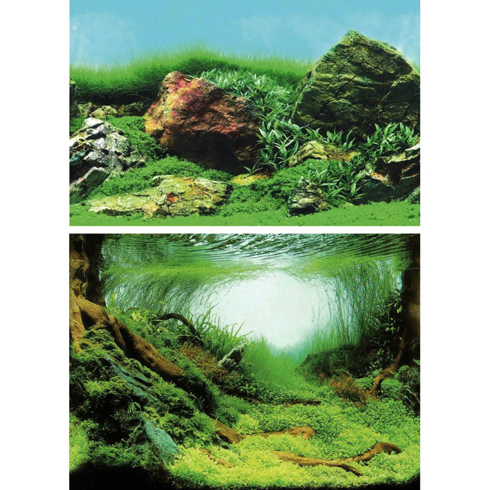 SuperFish Deco Poster Aquarium Background C