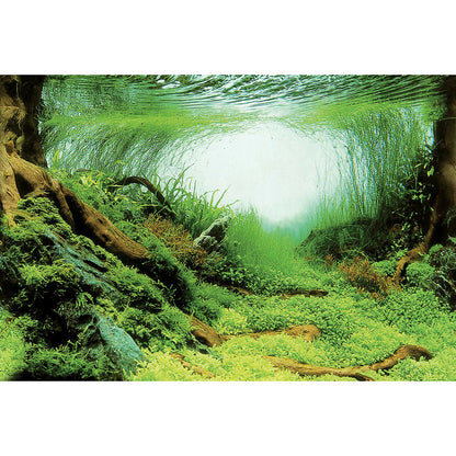 SuperFish Deco Poster Aquarium Background C