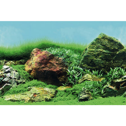 SuperFish Deco Poster Aquarium Background C