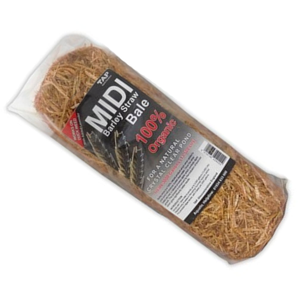 Barley Straw Bales