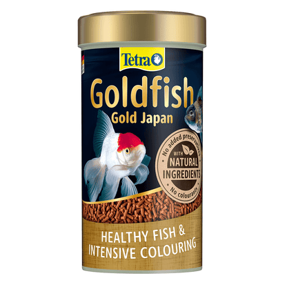 Tetra Goldfish Gold Japan