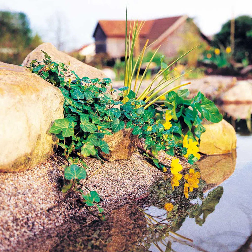 Decorative Stone Liner Edging