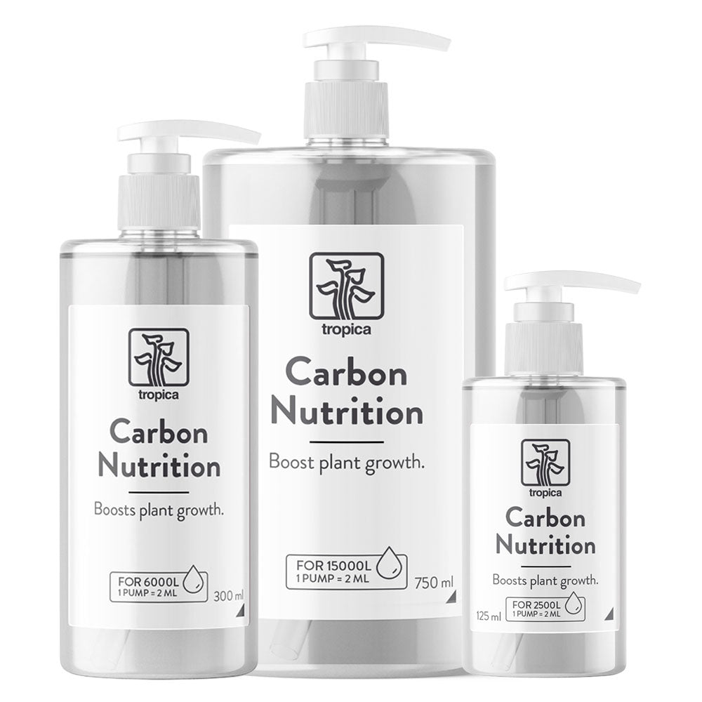 Carbon Nutrition