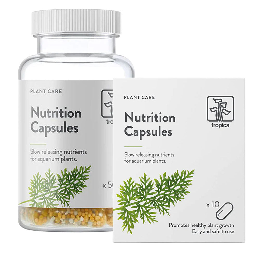 Nutrition Capsules