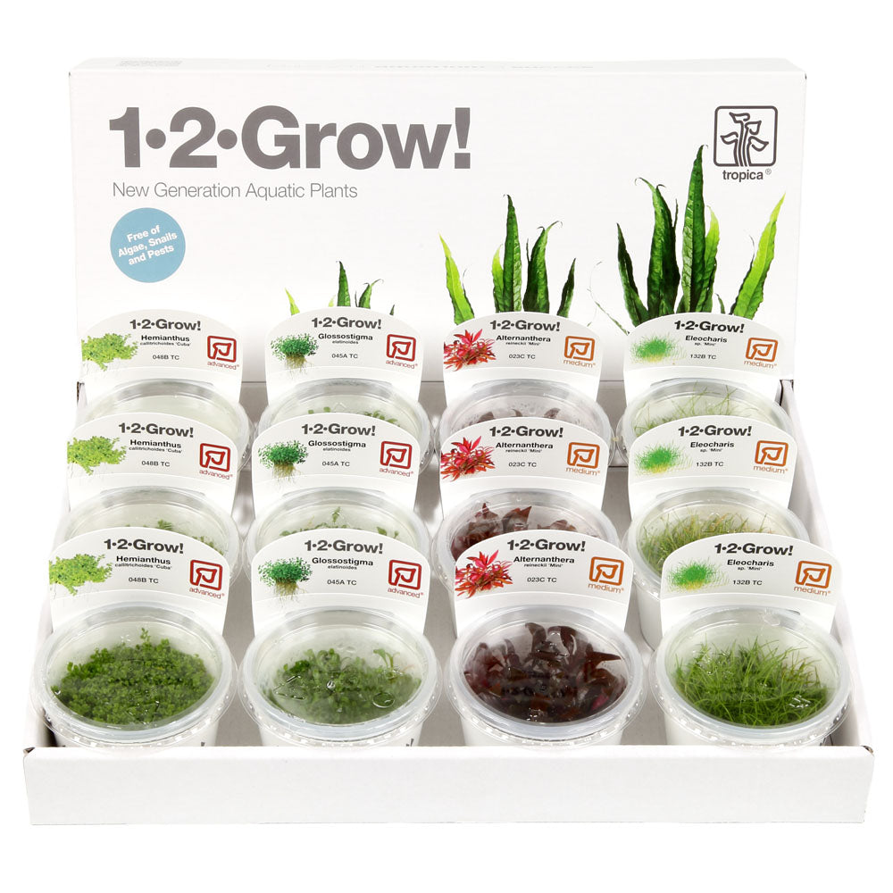 Easy Mix 1-2-Grow Plant Bundle