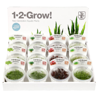 Easy Mix 1-2-Grow Plant Bundle