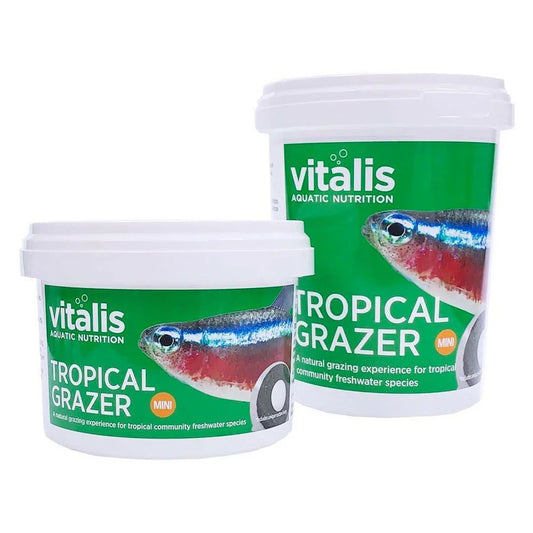 Tropical Grazer
