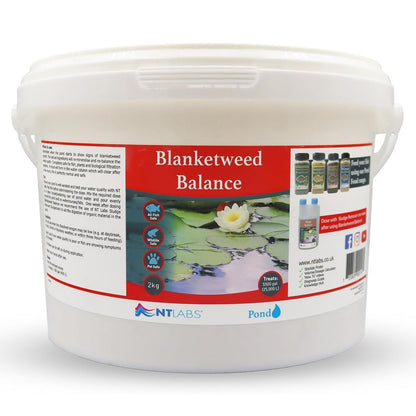 Blanketweed Balance