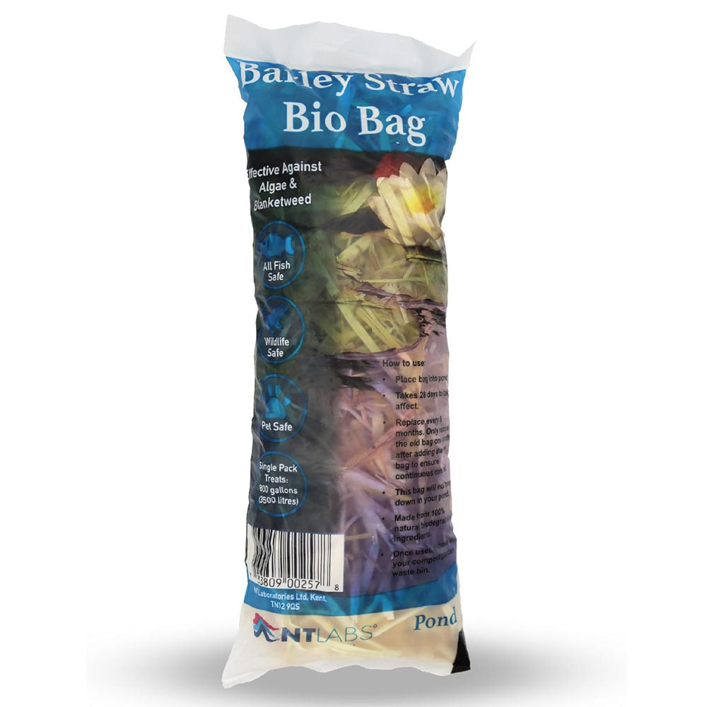 Barley Straw