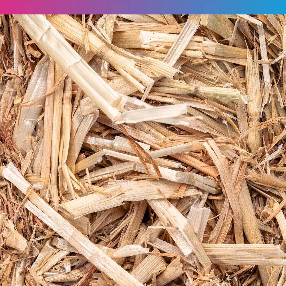 Barley Straw