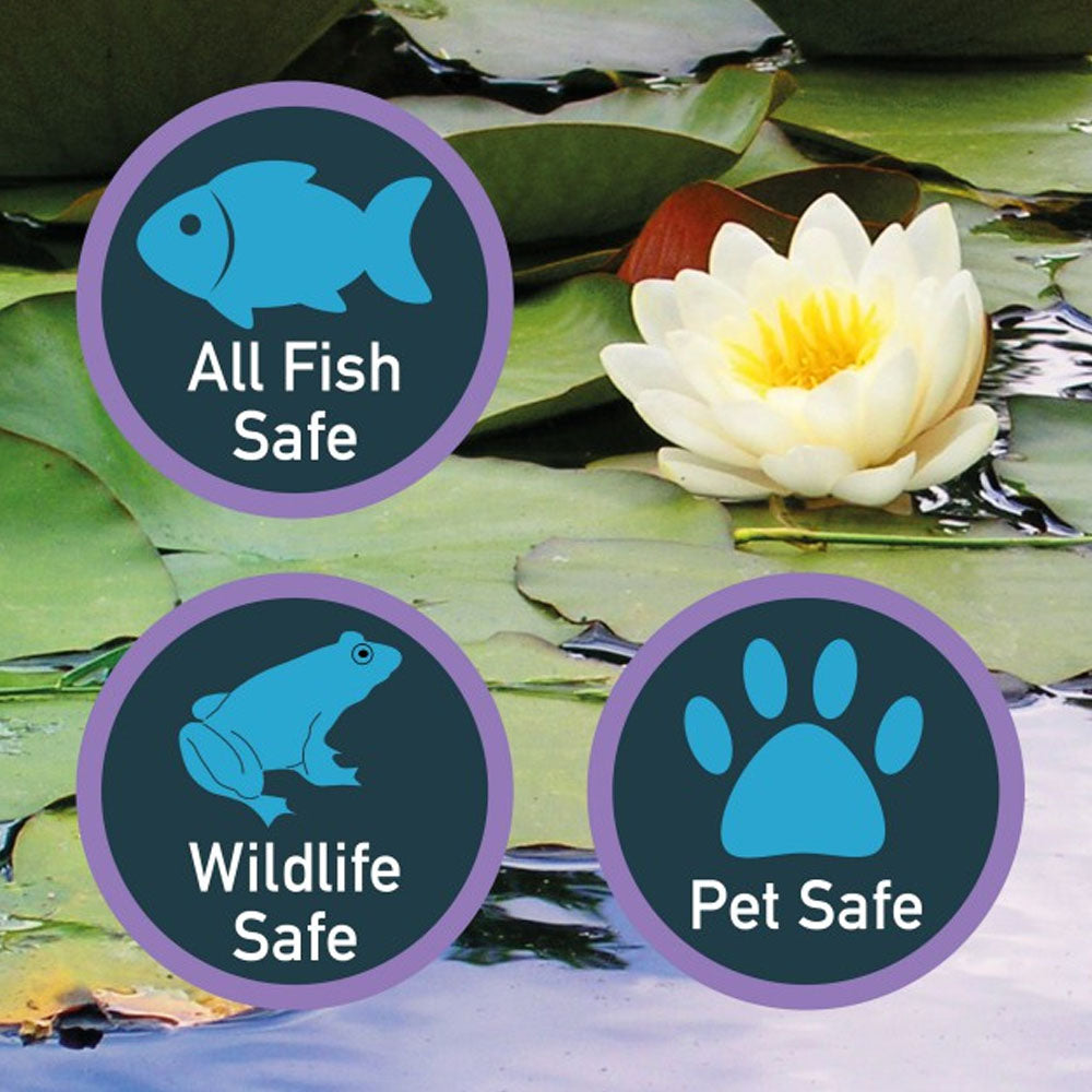 NT Labs Pond pH Stabiliser 1kg