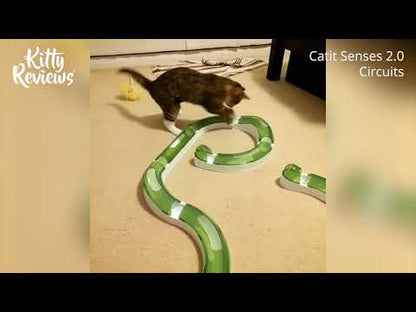 Senses 2.0 Play Circuit