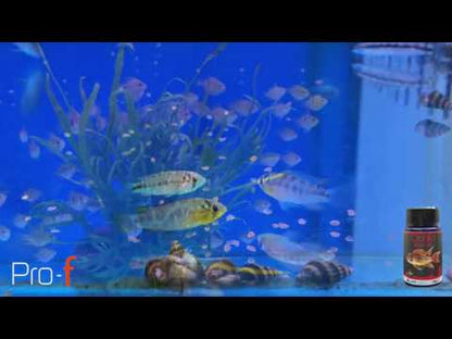 Pro-F Cichlid Red 48