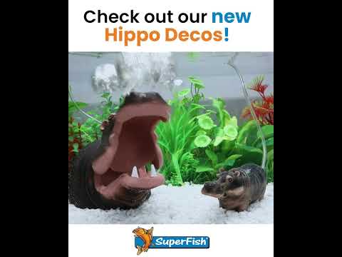 SuperFish Hippo Deco Air - Large