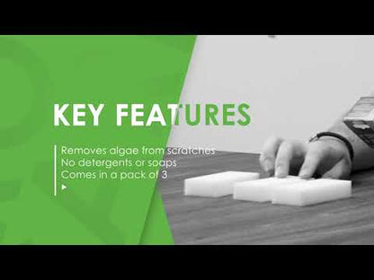 ProCare Algae Sponge (3pk)