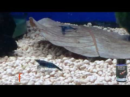 Pro-F Shrimp Enhancer